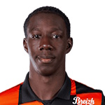 Lamine Diaby-Fadiga